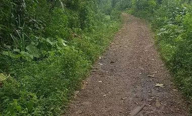 Tanah Dijual di Pandeglang Banten view penta pegunungan