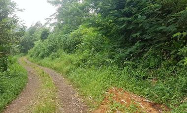 Tanah Dijual di Pandeglang Banten view penta pegunungan