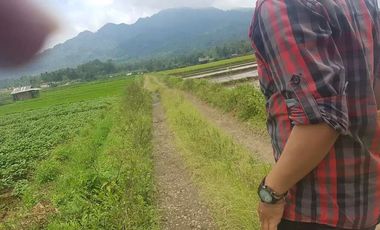 Tanah Dijual di Pandeglang Banten view penta pegunungan