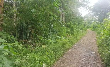 Tanah Dijual di Pandeglang Banten view penta pegunungan