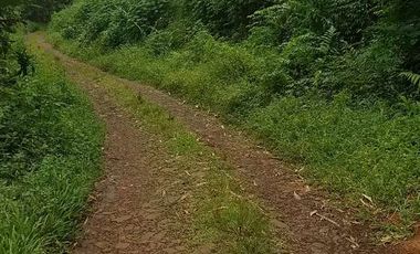 Tanah Dijual di Pandeglang Banten view penta pegunungan