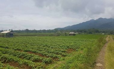 Tanah Dijual di Pandeglang Banten view penta pegunungan