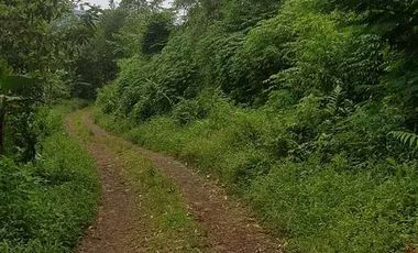 Tanah Dijual di Pandeglang Banten view penta pegunungan