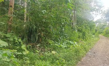 Tanah Dijual di Pandeglang Banten view penta pegunungan