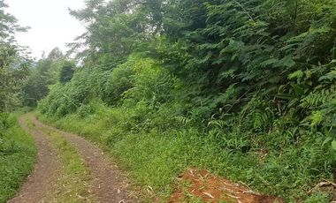 Tanah Dijual di Pandeglang Banten view penta pegunungan