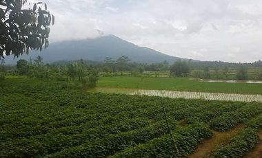 Tanah Dijual di Pandeglang Banten view penta pegunungan