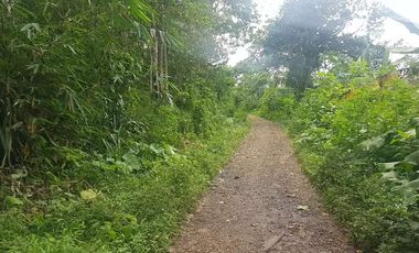 Tanah Dijual di Pandeglang Banten view penta pegunungan