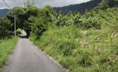 Tanah MURAH view Danau dan Gunung Batur