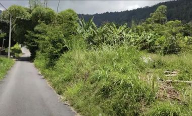 Tanah MURAH view Danau dan Gunung Batur