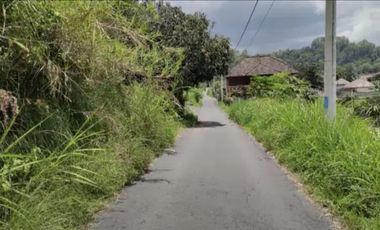 Tanah MURAH view Danau dan Gunung Batur