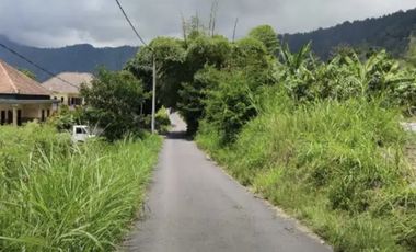 Tanah MURAH view Danau dan Gunung Batur