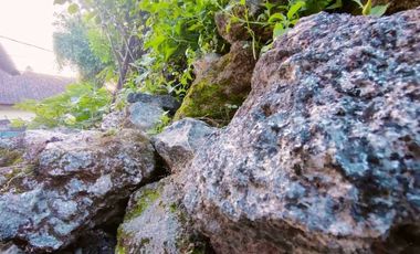 Dijual Tanah Bonus Toko Dekat Airport