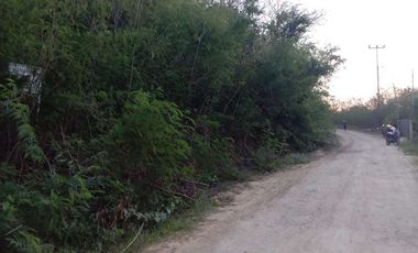 DIJUAL TANAH TEBING VIEW BUKIT DAN LAUT LABUAN BAJO NTB