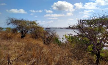 Tanah tebing loss pantai di jerowaru dekat pantai pink