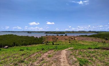 Tanah tebing loss pantai di jerowaru dekat pantai pink