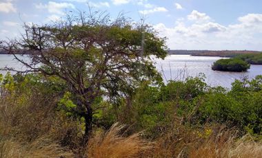 Tanah tebing loss pantai di jerowaru dekat pantai pink