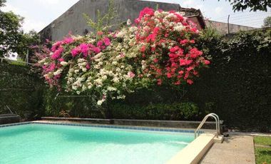 DISEWAKAN RUMAH CANTIK (Siap Huni)  POOL  JL KEMANG SELATAN RAYA  JAKA