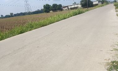 tanah di jalan utama kalodran ciruas serang banten