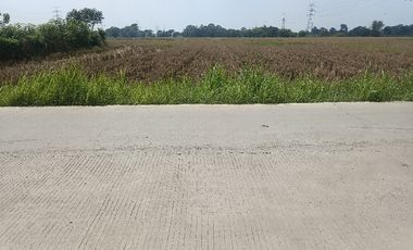 tanah di jalan utama kalodran ciruas serang banten