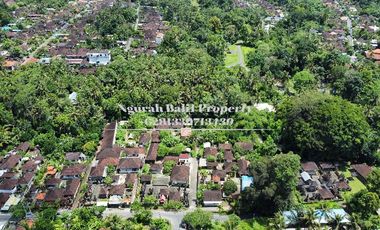 BUC Murah Disewakan Tanah Luas 30,70 Are View Kebun Kawasan Villa di Ubud