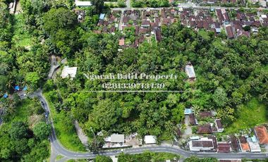 BUC Murah Disewakan Tanah Luas 30,70 Are View Kebun Kawasan Villa di Ubud