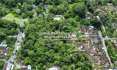 BUC Murah Disewakan Tanah Luas 30,70 Are View Kebun Kawasan Villa di Ubud
