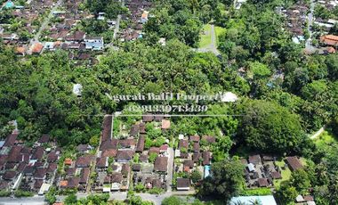 BUC Murah Disewakan Tanah Luas 30,70 Are View Kebun Kawasan Villa di Ubud