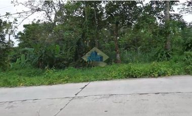Jual Tanah di Jl Raya Sampay, Cileles, Lebak - Banten.