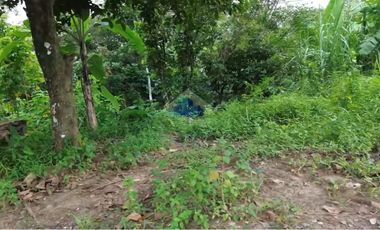 Jual Tanah di Jl Raya Sampay, Cileles, Lebak - Banten.