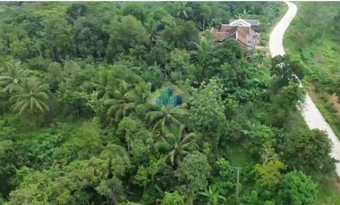 Jual Tanah di Jl Raya Sampay, Cileles, Lebak - Banten.