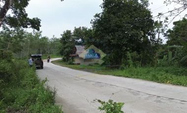 Jual Tanah di Jl Raya Sampay, Cileles, Lebak - Banten.