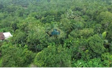 Jual Tanah di Jl Raya Sampay, Cileles, Lebak - Banten.