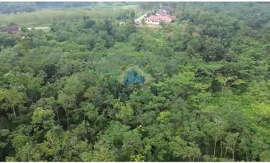Jual Tanah di Jl Raya Sampay, Cileles, Lebak - Banten.