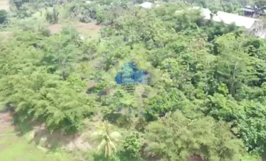 Jual Pabrik di JL Raya Rangkas Bitung - Pandeglang, Kadu agung Lebak