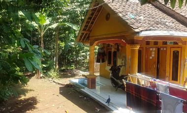 Rumah murah Di Pandeglang Banten Jl. desa Pasir jaksa luas 230 m2