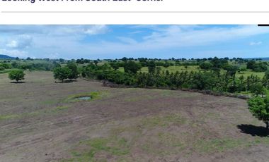 Beachfront Land di Teluk Saleh, Moyohilir Sumbawa Besar