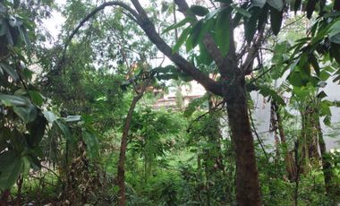 Dijual cepat Kav Tanah di Gunung Raya Cirendeu