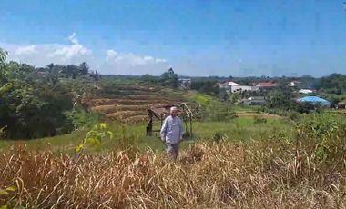 Padat karya Lamaru Balikpapan cck perumahan