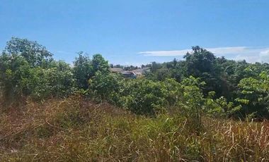 Padat karya Lamaru Balikpapan cck perumahan