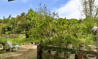 Dijual Rumah Palembang - Hunian Asri dengan Halaman Luas Tengah Kota