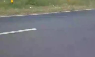 Tanah dijual di Kaliwates, Lamongan, Jawa Timur