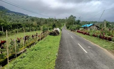 Dijual Tanah BUC Pinggir Jalan Utama Kintamani Barat