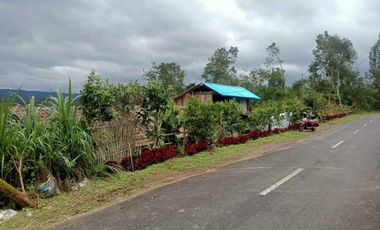 Dijual Tanah BUC Pinggir Jalan Utama Kintamani Barat