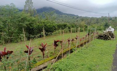 Dijual Tanah BUC Pinggir Jalan Utama Kintamani Barat