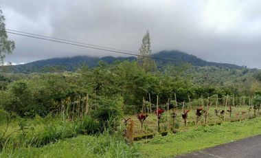 Dijual Tanah BUC Pinggir Jalan Utama Kintamani Barat