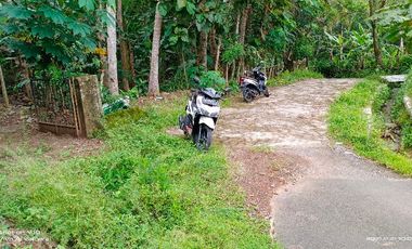 tanah murah view sawah.area geblek pari nanggulan