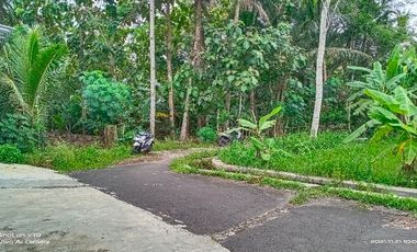 tanah murah view sawah.area geblek pari nanggulan