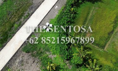 TANAH LUNA BEACH CLUB KEDUNGU