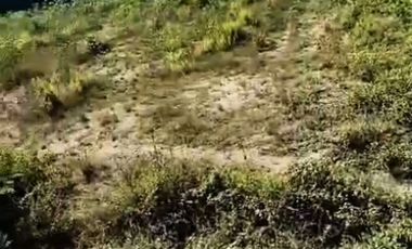 Tanah Strategis Area Bisnis Lamongan Kota