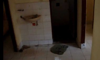 Rumah Di Jual Jalan Jayagiri Utara, Denpasar Timur, Bali, Murah